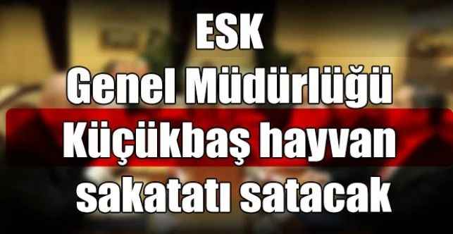 ESK Genel Müdürlüğü Küçükbaş hayvan sakatatı satacak