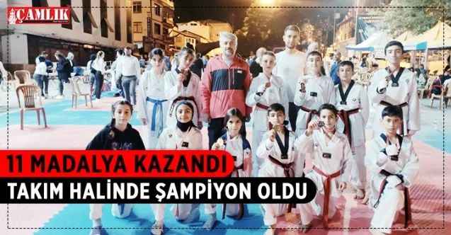 Tokat’ın Niksar İlçesinde düzenlenen 15 Temmuz açık hava Taekwondo Müsabakaları tamamlandı