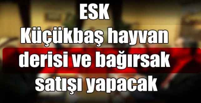 ESK Küçükbaş hayvan derisi ve bağırsak satışı yapacak