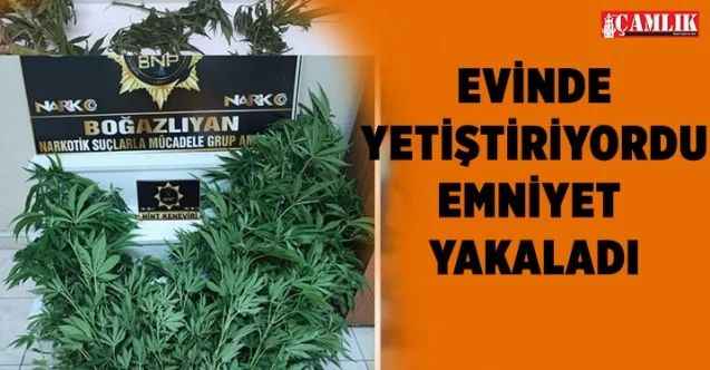 Yozgat Emniyet Müdürlüğü ekipleri ruhsatsız silah ve hintkeneviri ele geçirdi