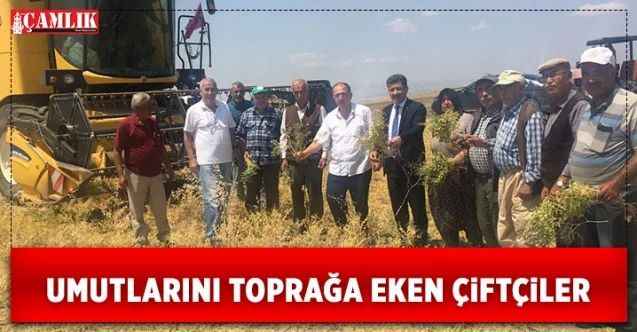 Türkiye’nin tahıl ambarı Yozgat’ta çiftçi hasadı umutla sürdürüyor. Gıda krizine dur diyecek emektar çiftçiyi Yerköy Belediye Başkanı tarlasında yalnız bırakmadı