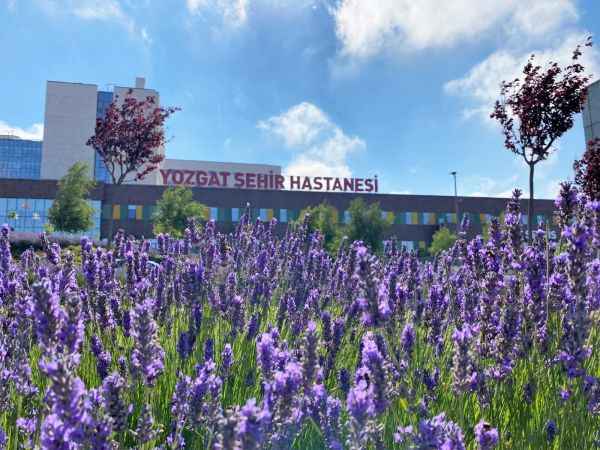 Yozgat Şehir Hastanesi çevresinde bulunan lavanta çiçekleriyle görsel şölen sunan peyzajı ile de açık hava stüdyosunu andırıyor