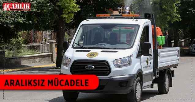 Sineksiz bir Yenimahalle