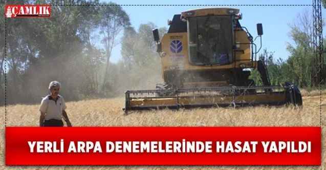 Yozgat Tarım İl müdürü Tanju Özkaya; Yerli Arpada yüksek verim alındı