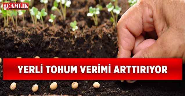 Yozgat tarım İl Müdürü Tanju Özkaya; Yerli tohumun verimi artırdığını söyledi. Ayrıntılar haberimizde...