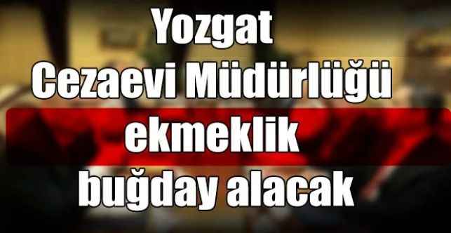 Yozgat Cezaevi Müdürlüğü ekmeklik buğday alacak
