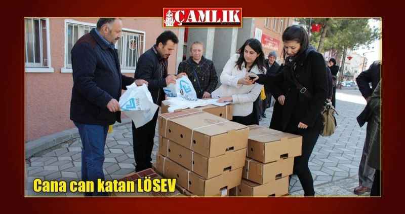 Cana can katan LÖSEV