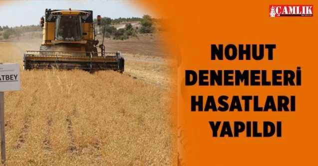 Yozgat'ta Nohut Denemeleri Hasadı Yapıldı