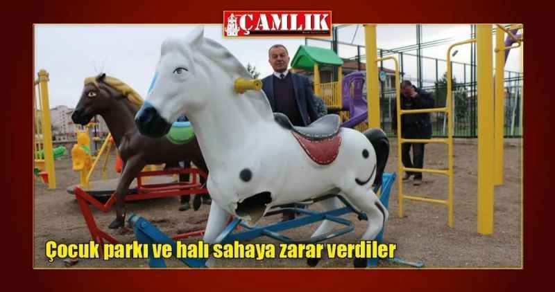 Çocuk parkı ve halı sahaya zarar verdiler