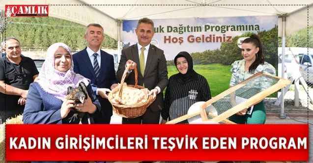 Kadın çiftçilerden, Tavuk Dağıtım Programına yoğun ilgi