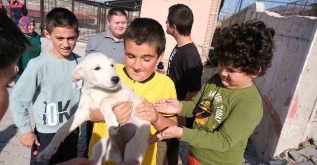 Yozgat’ın Sorgun İlçesi'nde özel çocuklar hayvan bakımevini ziyaret etti