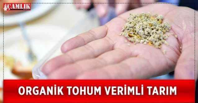 Mamak Belediyesinden milli tohum yerli tarım hamlesi