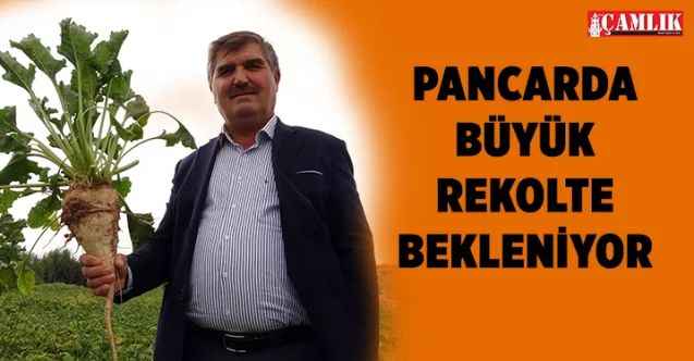 Yozgat’ta şekerpancarında 1 milyon 750 bin ton rekolte bekleniyor