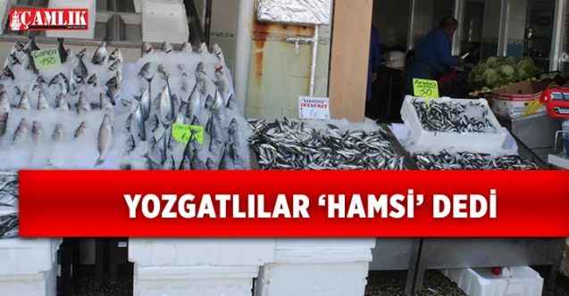 Yozgat'ta Tezgahların ve Sofraların Vazgeçilmez Balığı HAMSİ