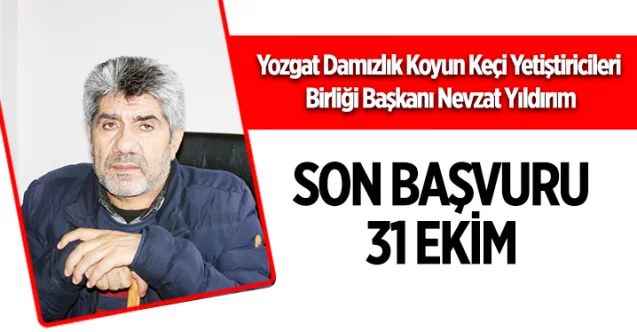 Yozgat Damızlık Koyun Keçi Yetiştiricileri Birliği Başkanı Nevzat Yıldırım: Son başvuru 31 Ekim