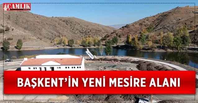 Ankara'nın yeni adresi: Kösrelik Mesire Alanı