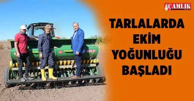 Yozgat'ta ekinler toprakla buluşmaya başladı
