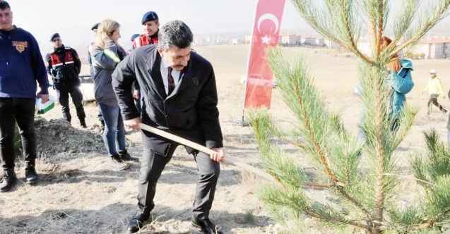 11 Kasım ‘Milli Ağaçlandırma Günü’ nedeniyle Yerköy 100. Yıl Mahallesi 100. Yıl mevkiinde saat 11.11'de ilk etapta 200 fidan 'Yarınlarımıza Nefes Olsun' diye toprakla buluşturuldu