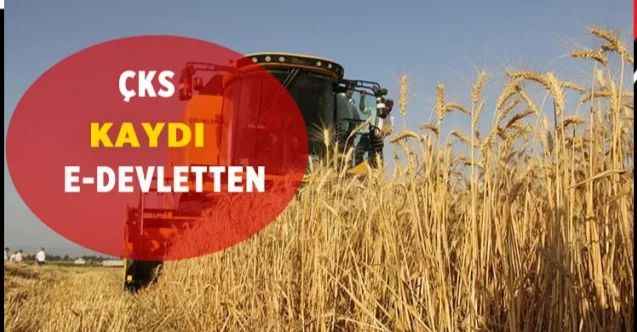 ÇKS Başvuruları 31 Aralık'a kadar E-Devlet Üzerinden yapılabilecek!