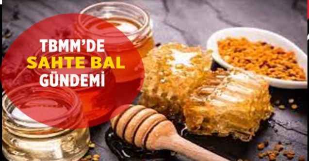 TBMM'de sahte bal önergesi: Kimse Milletin hayatıyla oynayamaz