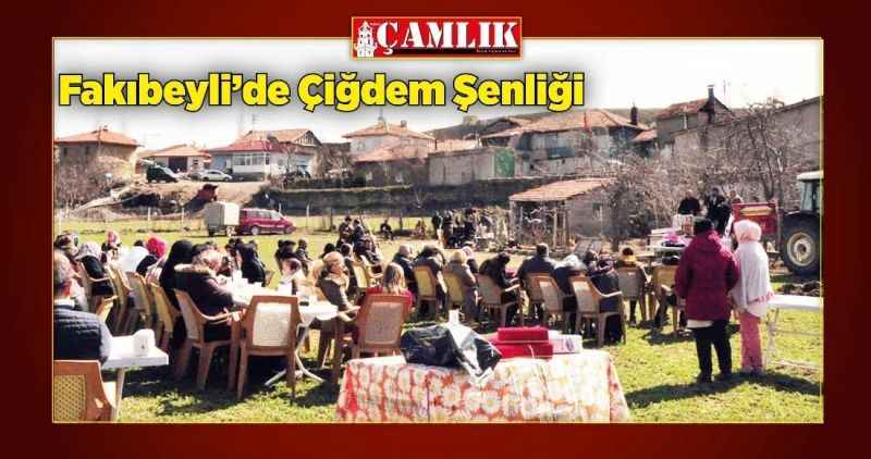 Fakıbeyli'de Çiğdem Şenliği