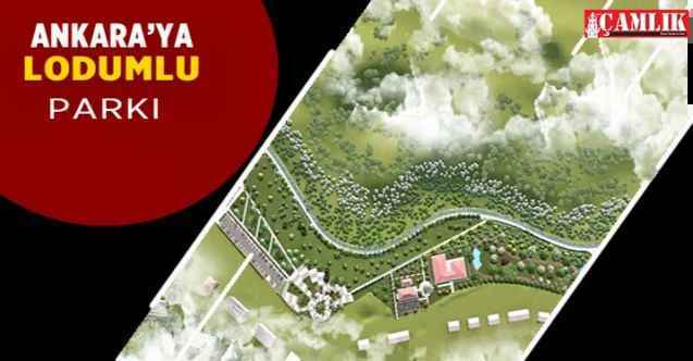Ankara'da 130 bin metrekarelik Lodumlu parkında hazırlıklar devam ediyor