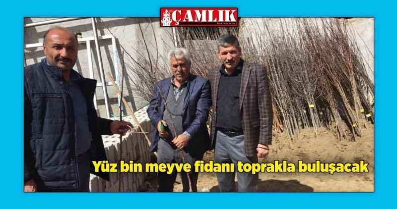 Yüz bin meyve fidanı toprakla buluşacak