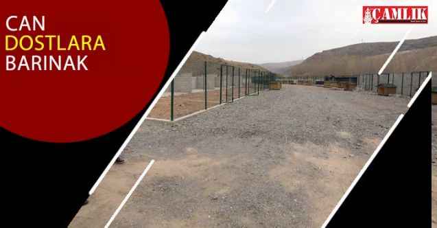 Yenimahalle Belediyesi'nden Can Dostlar İçin Yeni Barınak