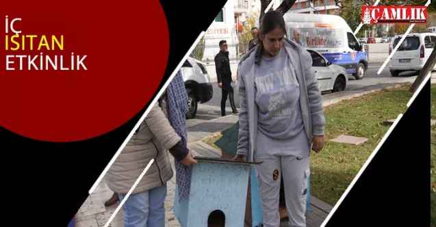 Keçiören Belediyesi'nden Engelli Danışma Merkezi bünyesindeki özel bireyler sokak hayvanlarını koruma etkinliği