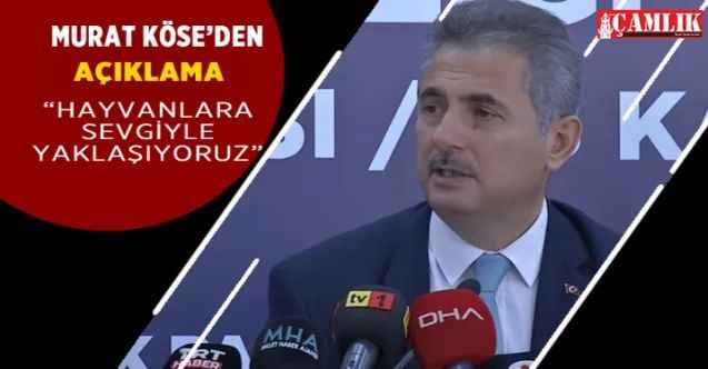 Murat Köse'den başıboş köpek açıklaması: Marjinal gruplar iftira ile manipülasyon yaptı