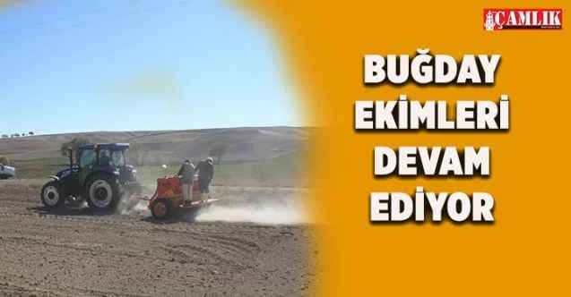 Yozgat’ta Buğday çeşidi artırılıyor