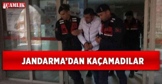Yozgat'ta Buğday çaldığı tespit edilen 3 şüpheli tutuklandı