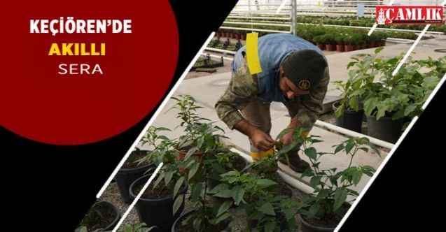 Keçiören'deki akıllı serada yetişen bitkiler ilçeye fayda sağlıyor