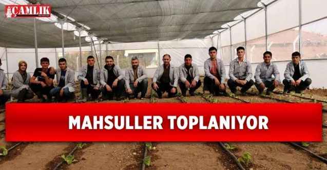 Yozgat’ta Tarım Liseleri Fidanlara Can Suyu Olmaya Devam Ediyor