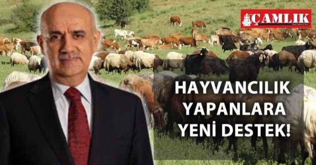 Bakan Kirişçi Yozgat'ta duyurmuştu: Hayvancılıkta Aile işletmelerine yeni destek!