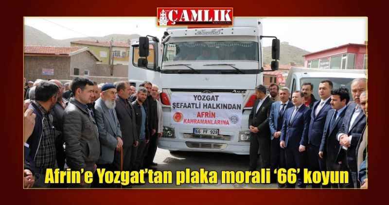 Afrin'e Yozgat'tan plaka morali '66' koyun