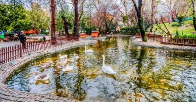 Ankara'nın Büyülü Parkı; Kuğulu Park!