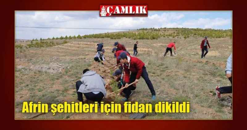 Afrin şehitleri için fidan dikildi