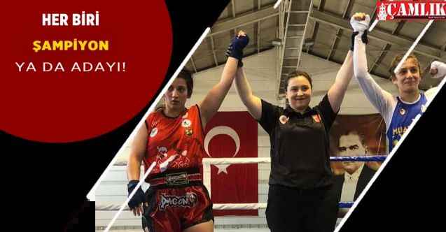 Yenimahalle Belediyesi sporcuları 2022 yılında büyük başarılara imza attı