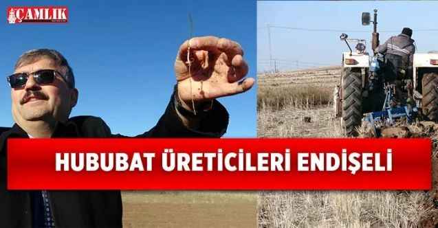 Yozgat’ta kuraklık hububat üreticilerini endişelendiriyor