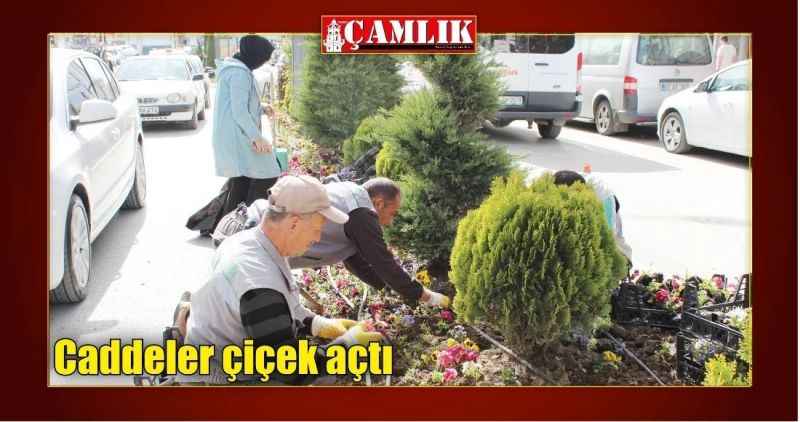 Caddeler çiçek açtı