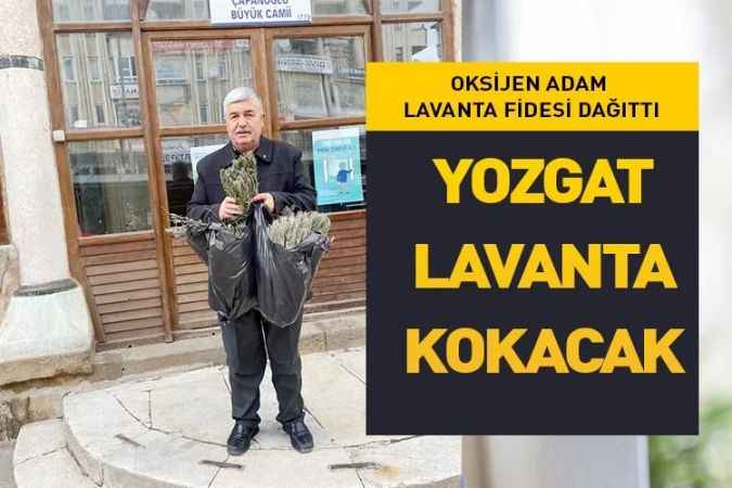 Yozgat Lavanta Kokacak