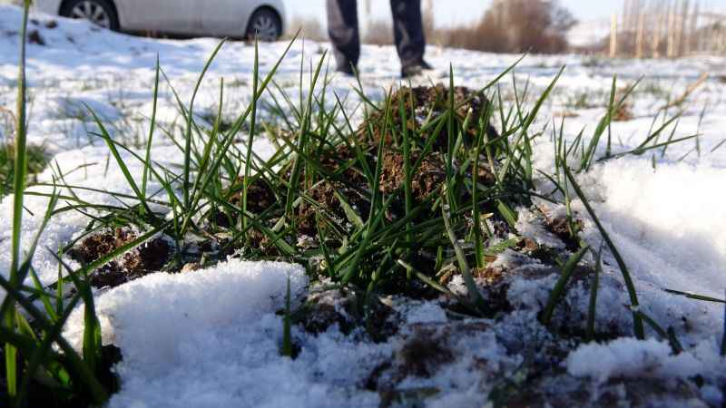 Yozgat'ta kar yağışı hububat üreticilerini umutlandırdı