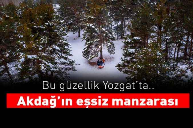 Akdağ'ın eşsiz ormanları..
