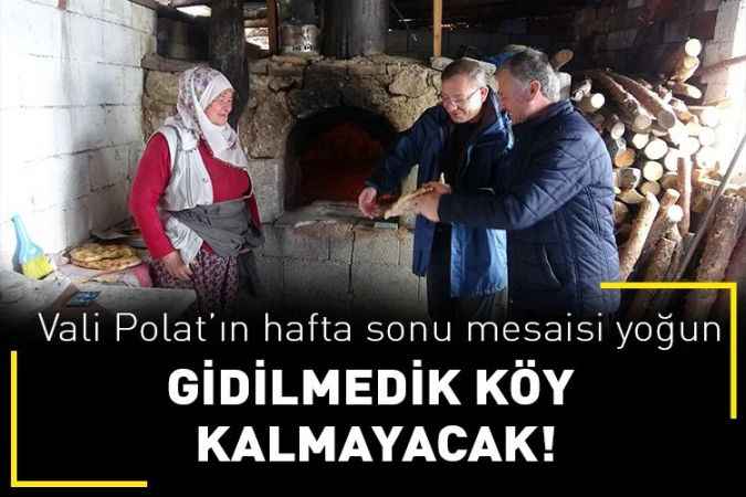Yozgat Valisi Ziya Polat'ın hafta sonu mesaisi yoğun