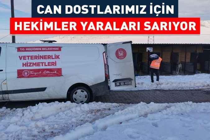 Keçiören Belediyesi Veteriner Hekimleri Can Dostlarımız İçin Çalışmalarını Sürdürüyor