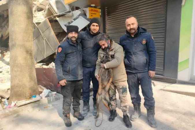 Kahraman Köpekler Rüzgar ve Çakıl Hayat Kurtardı