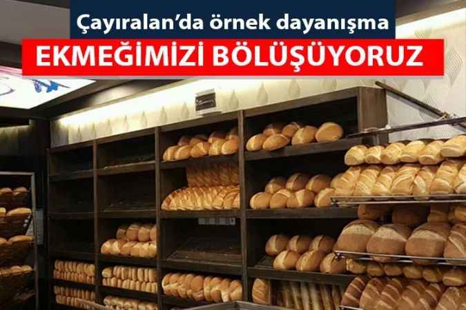 Çayıralan'da örnek dayanışma - Ekmeğimizi bölüşüyoruz