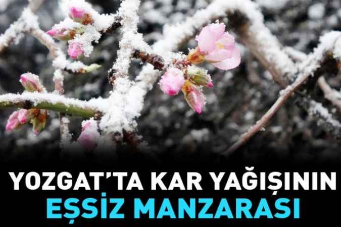 Eşsiz Manzaralar