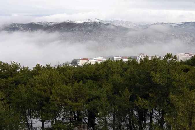 Yozgat’ta yoğun sis etkili oldu